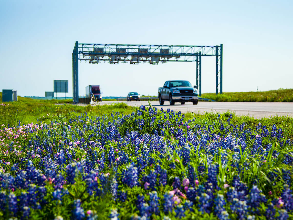 A pickup truck and a few vehicles pass under an SH 130 South overhead toll gantry, with Texas bluebonnets blooming in the roadside grass in the foreground.